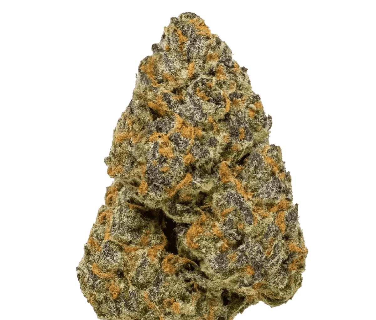 Redecan THC30 BRZ Biscuit RNTZ - Biscuit Rntz I Redecan THC30 BRZ Biscuit RNTZ - Biscuit Rntz I