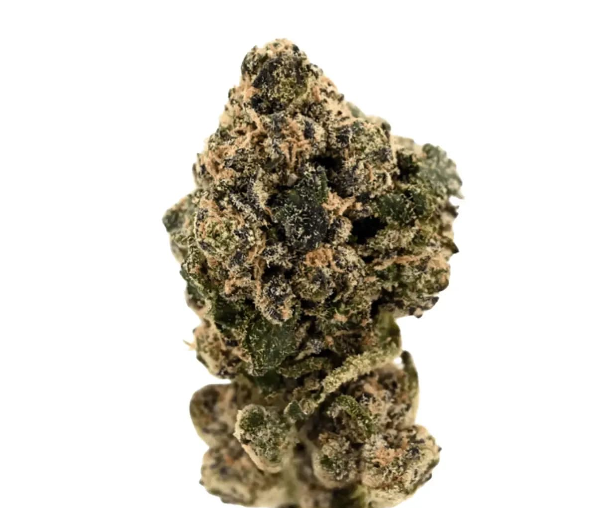 Tilray Craft THC20 SNS - Sunset Sherbet Tilray Craft THC20 SNS - Sunset Sherbet