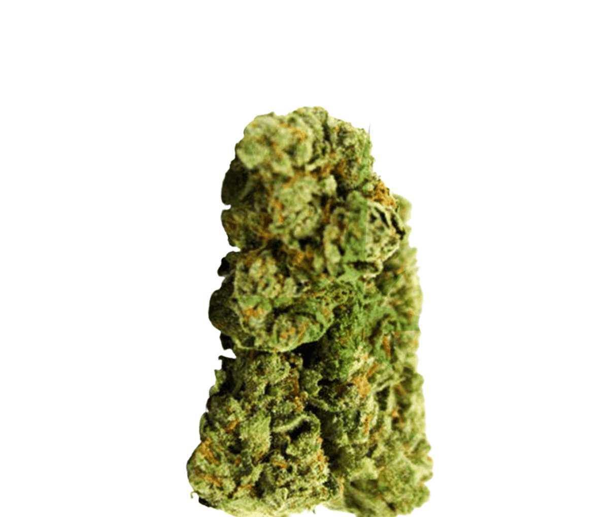 DMC Strong Drop - Holy Roller